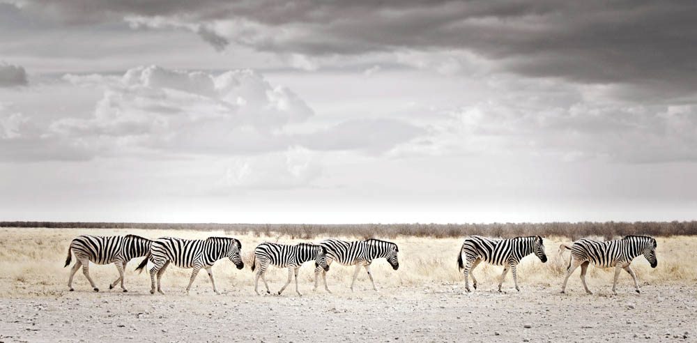 africa-photography-by-klaus-tiedge-photo-14