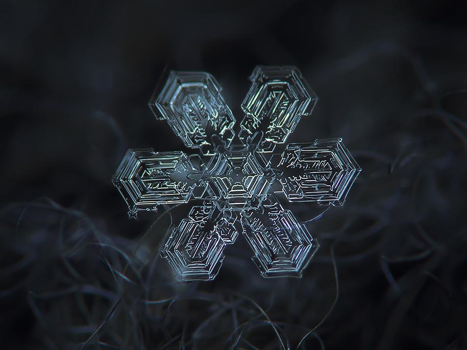 snowflake closeup alexey kljatov 07