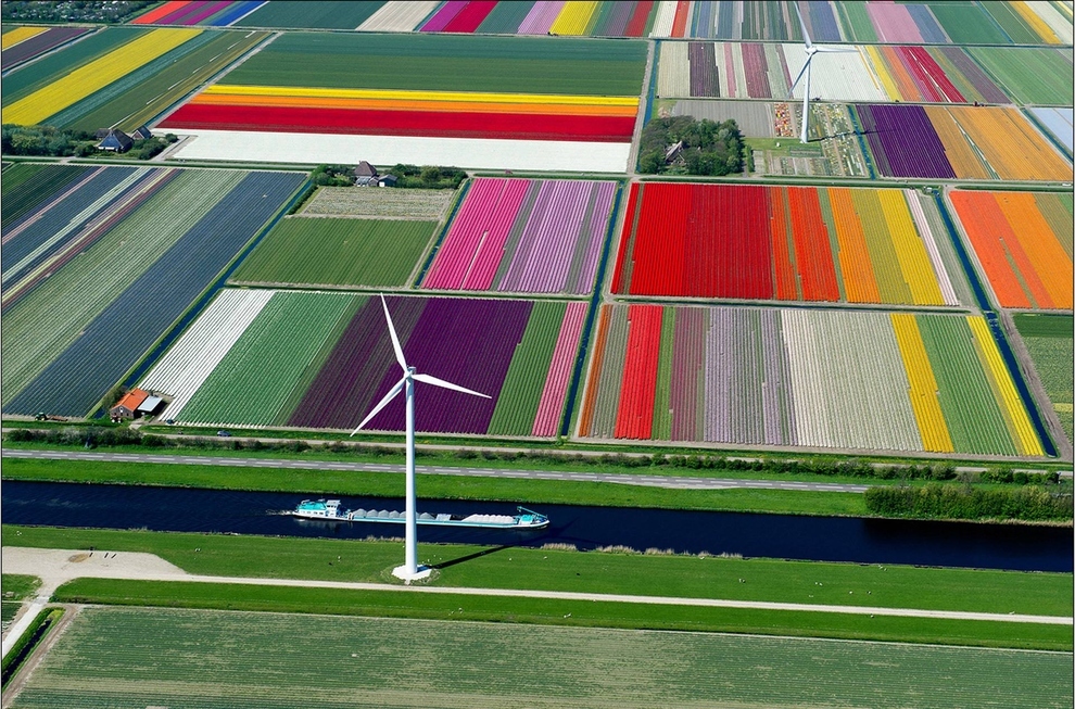 mesto z vtacej perspektivy 27 - tulipany holadnsko